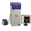 iBox Explorer 活体小动物荧光显微成像系统UVP凝胶成像分析系统