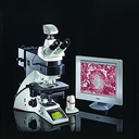 徕卡DM6000M智能数字全自动正置金相显微镜 
