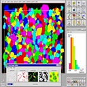 徕卡Qwin图像分析软件  