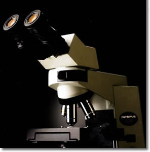olympus奥林巴斯教学级显微镜CX41