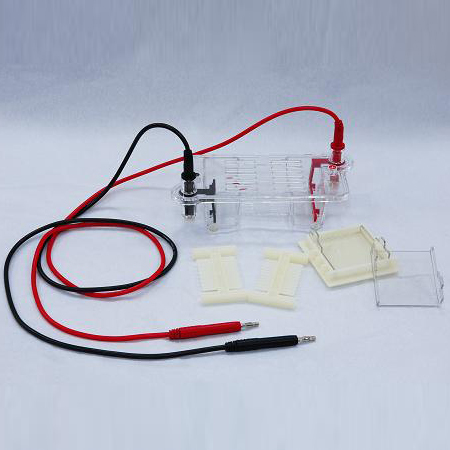 wode 沃德DYCP-31BN型琼脂糖水平电泳仪(槽)(微型)