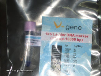 AXYGEN M-DNA1kb Ladder DNA marker 